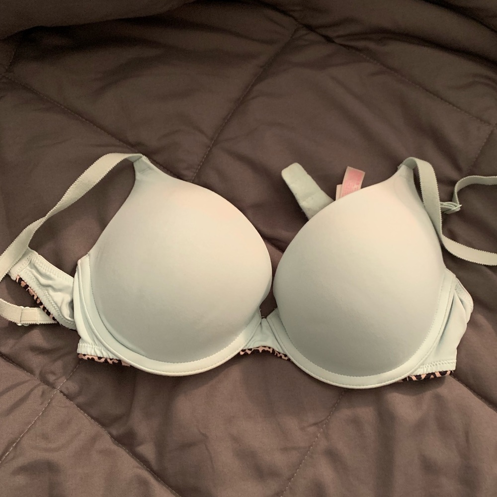 Baby Blue with Leopard Print VS PINK Bra